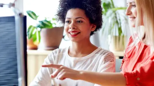Client and consultant discuss their plan
